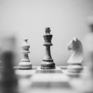 Selecció tornejos d'hivern 2026